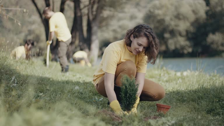 Organic Lawn Care Solutions in Wimauma, FL